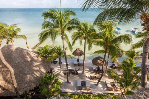 beachfront hotel la palapa adults only
