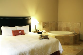 hampton inn dade city zephyrhills