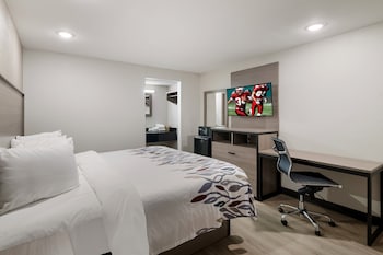 red roof inn and conference center mckinney