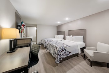 red roof inn and conference center mckinney