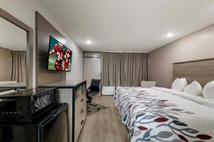 red roof inn and conference center mckinney