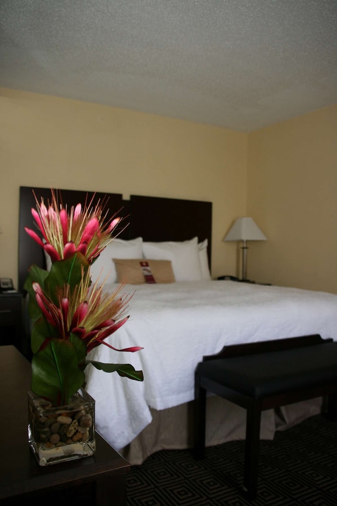 hampton inn and suites orlando john young pkwy s park