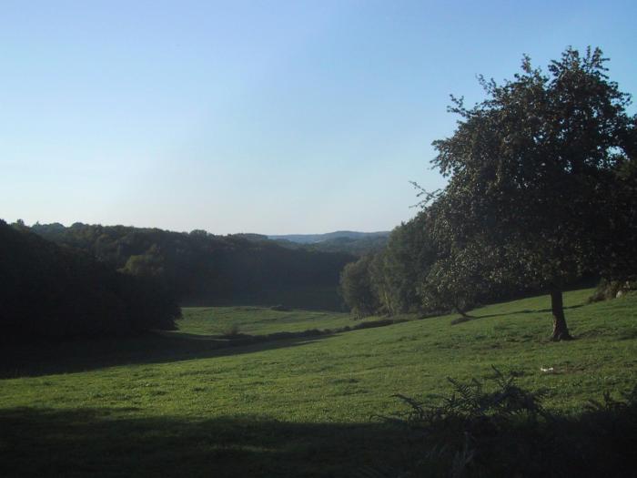 la bonneterie