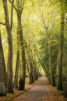 le hameau de courances