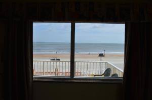 oceanfront inn and suites