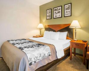 garner hotel panama city beach northeast