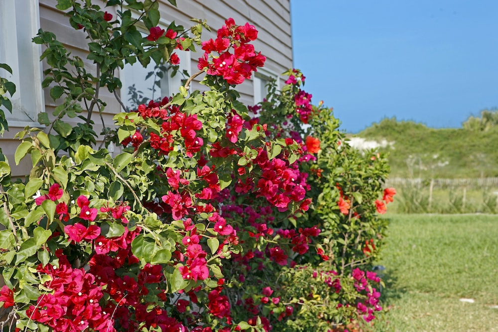 beachfront bed and breakfast