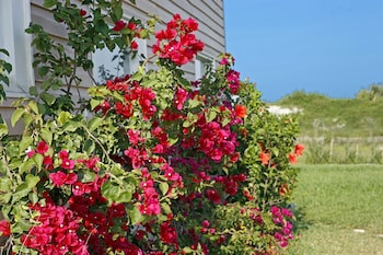 beachfront bed and breakfast