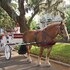 fernandina beach