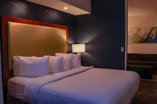 springhill suites by marriott baton rouge north airport