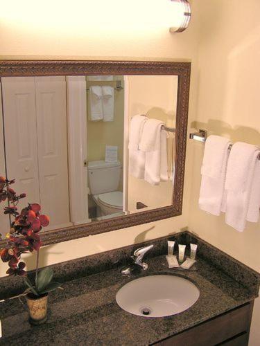 staybridge suites harrisburg by ihg