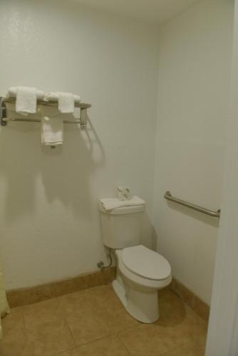 rodeway inn and suites winter haven chain of lakes