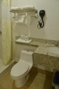 rodeway inn and suites winter haven chain of lakes