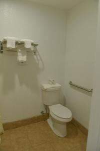rodeway inn and suites winter haven chain of lakes