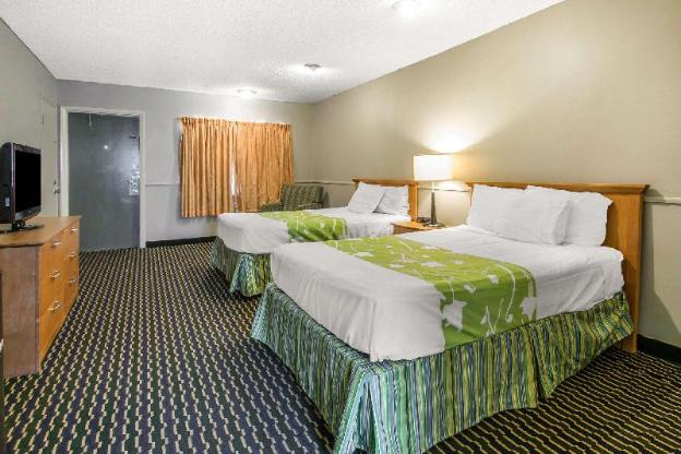rodeway inn and suites winter haven chain of lakes