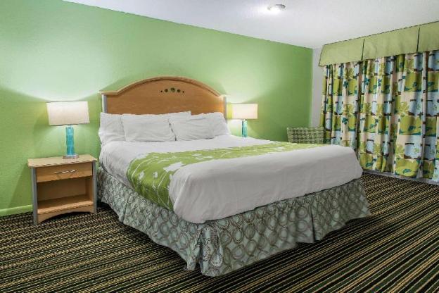 rodeway inn and suites winter haven chain of lakes