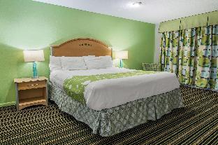 rodeway inn and suites winter haven chain of lakes
