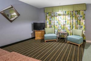 rodeway inn and suites winter haven chain of lakes