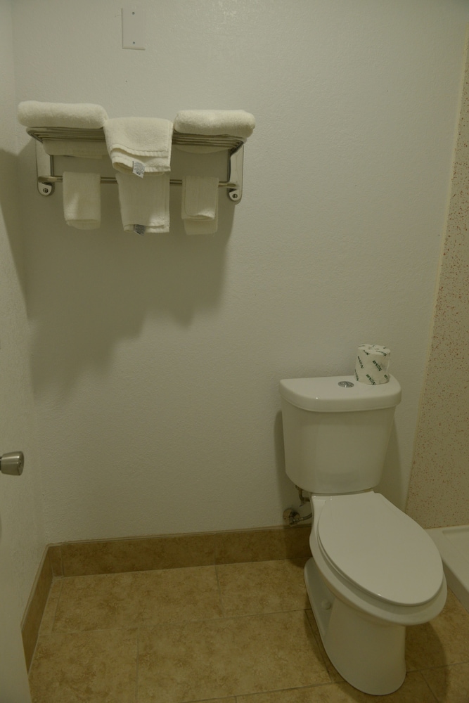 rodeway inn and suites winter haven chain of lakes