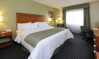 Holiday Inn Express & Suites Toluca Zona Aeropuerto By Ihg,Metepec>>Lerma,3 star