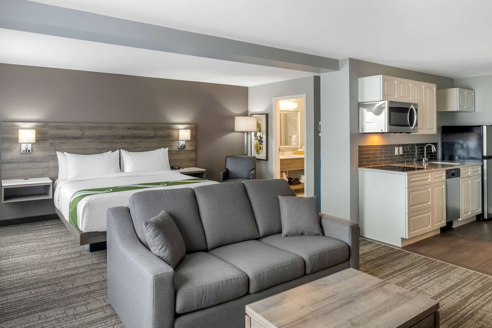 quality inn and suites amsterdam