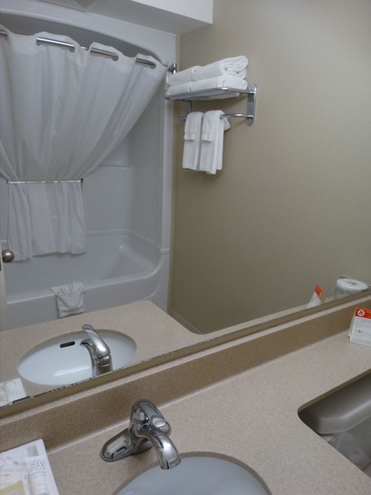 quality inn and suites amsterdam