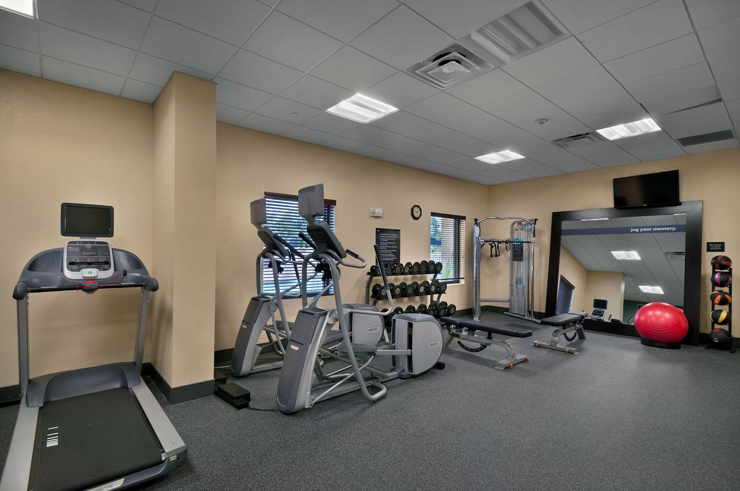 hampton inn and suites tampa northwest oldsmar