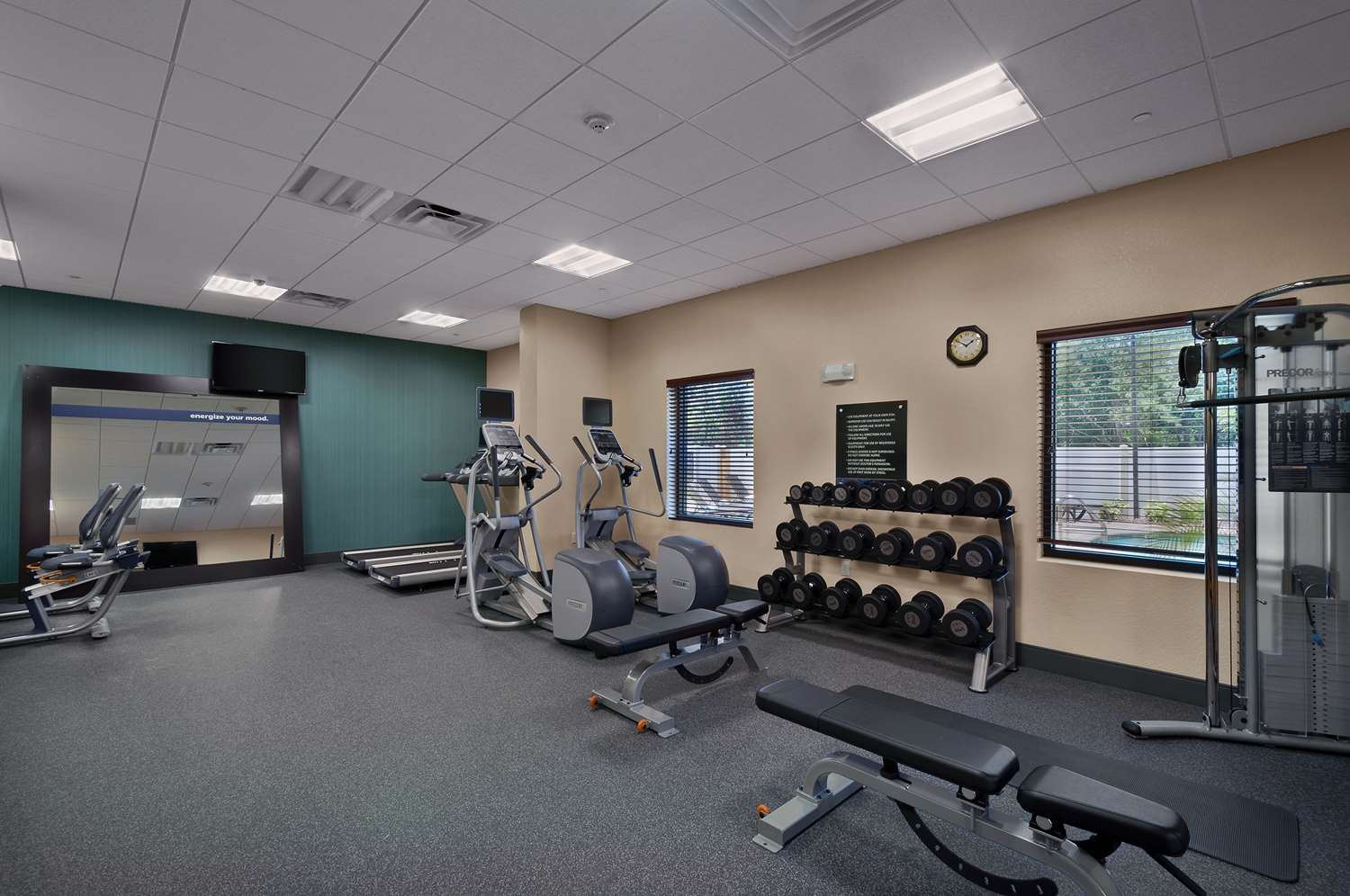 hampton inn and suites tampa northwest oldsmar