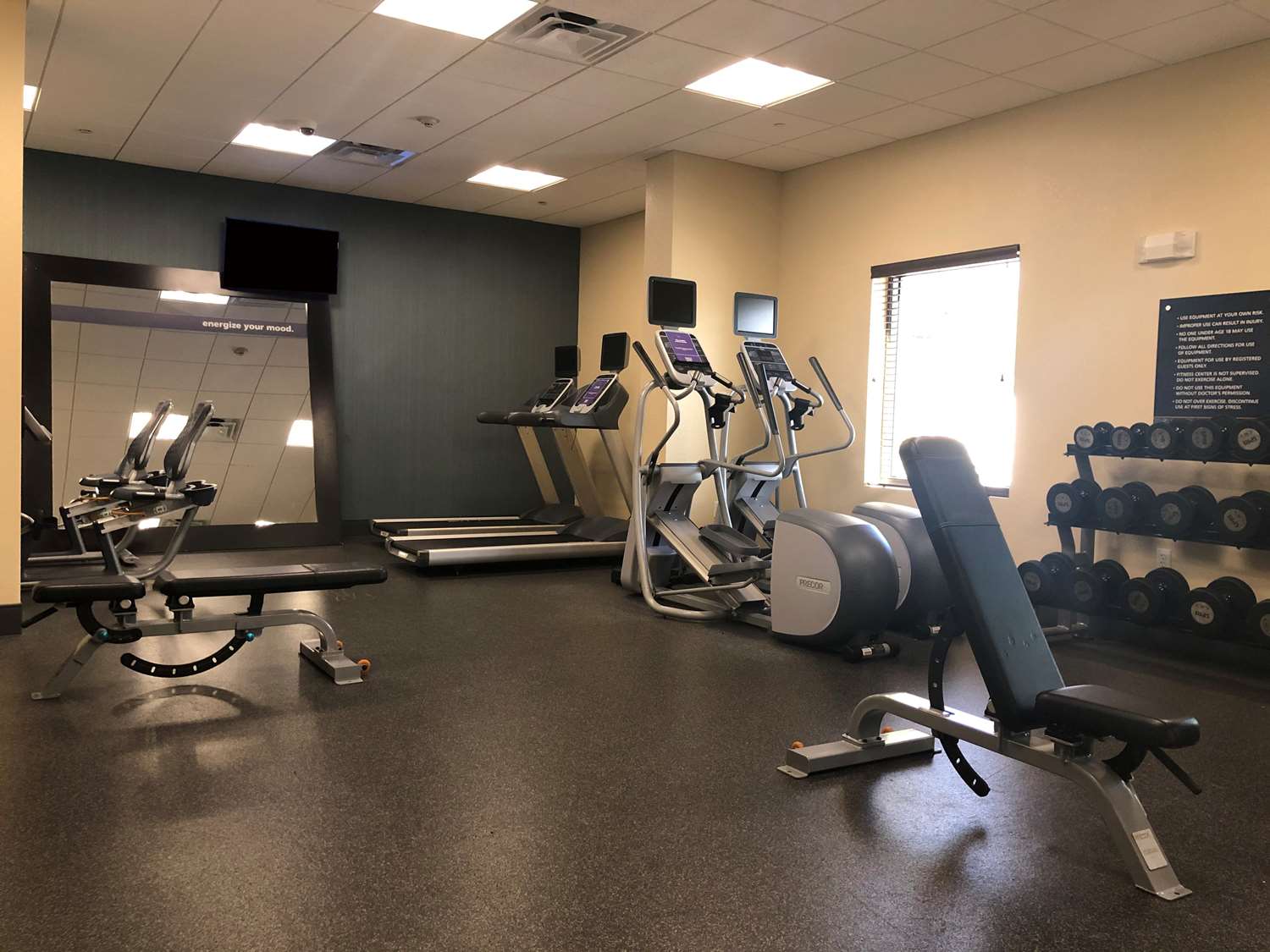 hampton inn and suites tampa northwest oldsmar