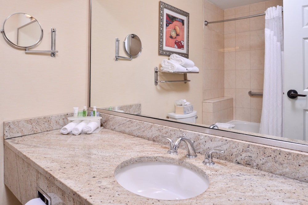 holiday inn express tampa n i 75 university area