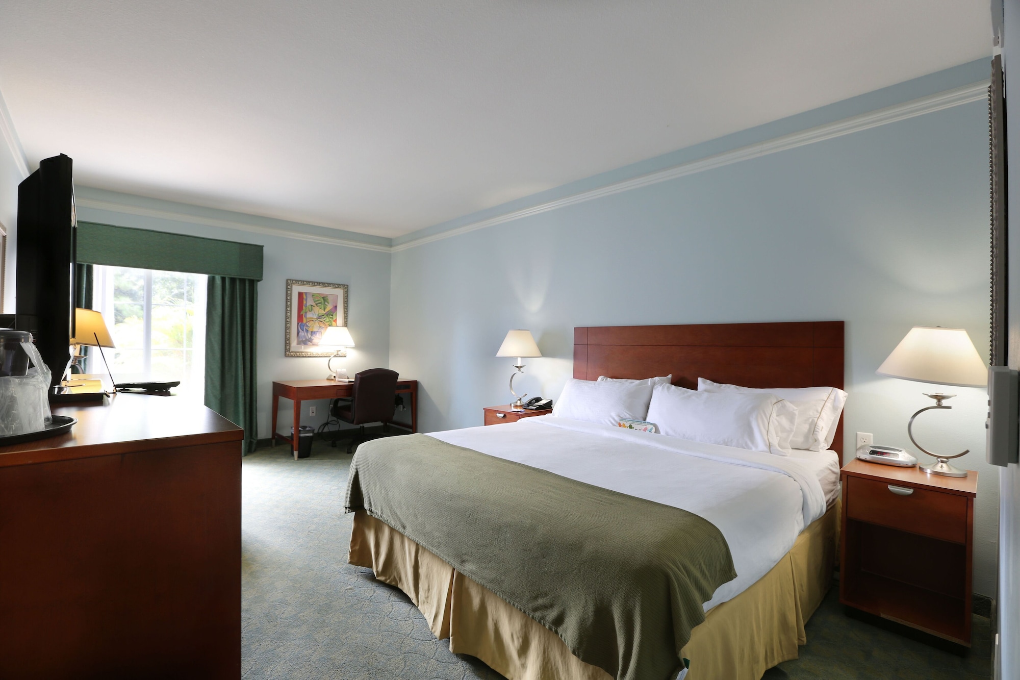 holiday inn express tampa n i 75 university area