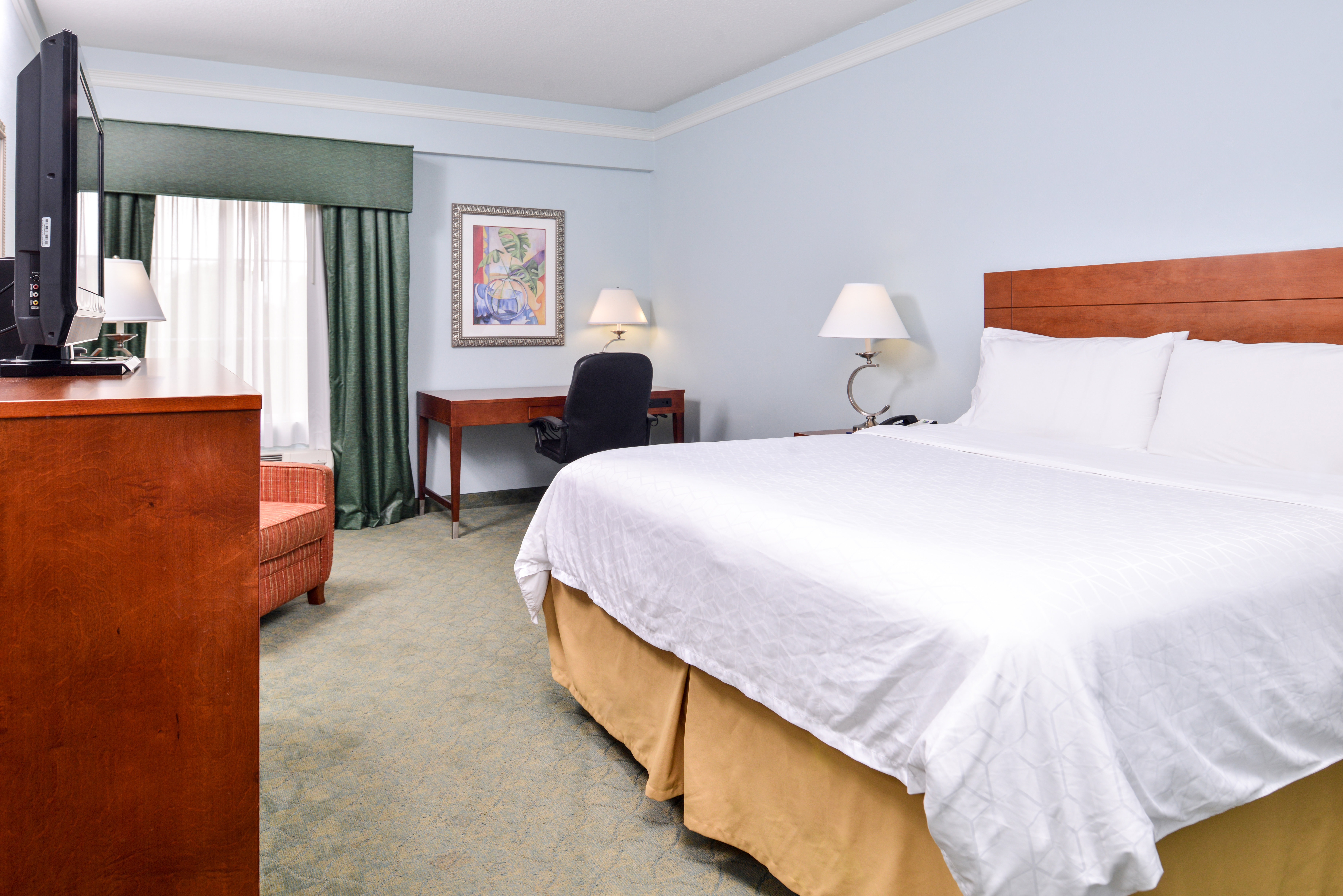holiday inn express tampa n i 75 university area