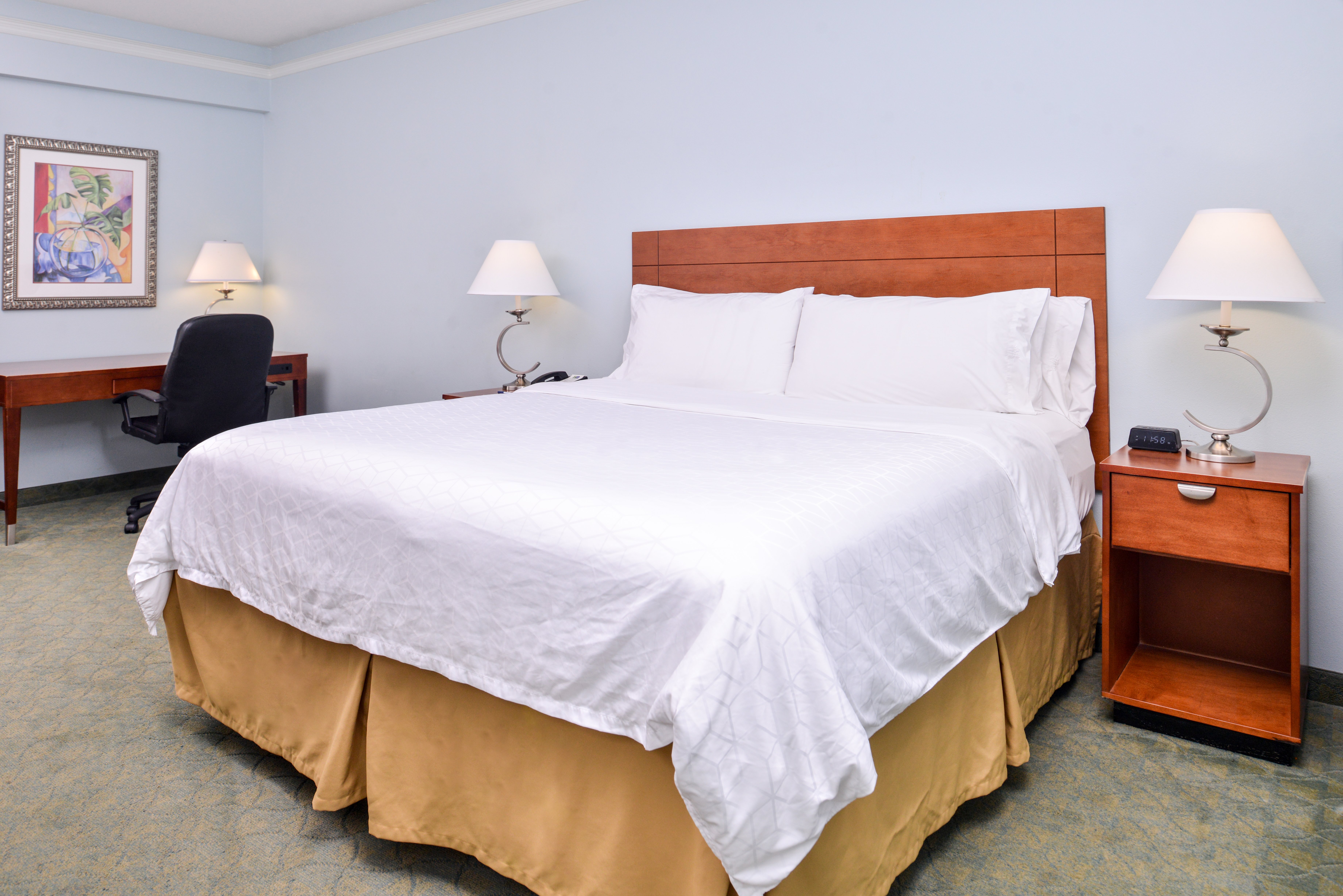 holiday inn express tampa n i 75 university area