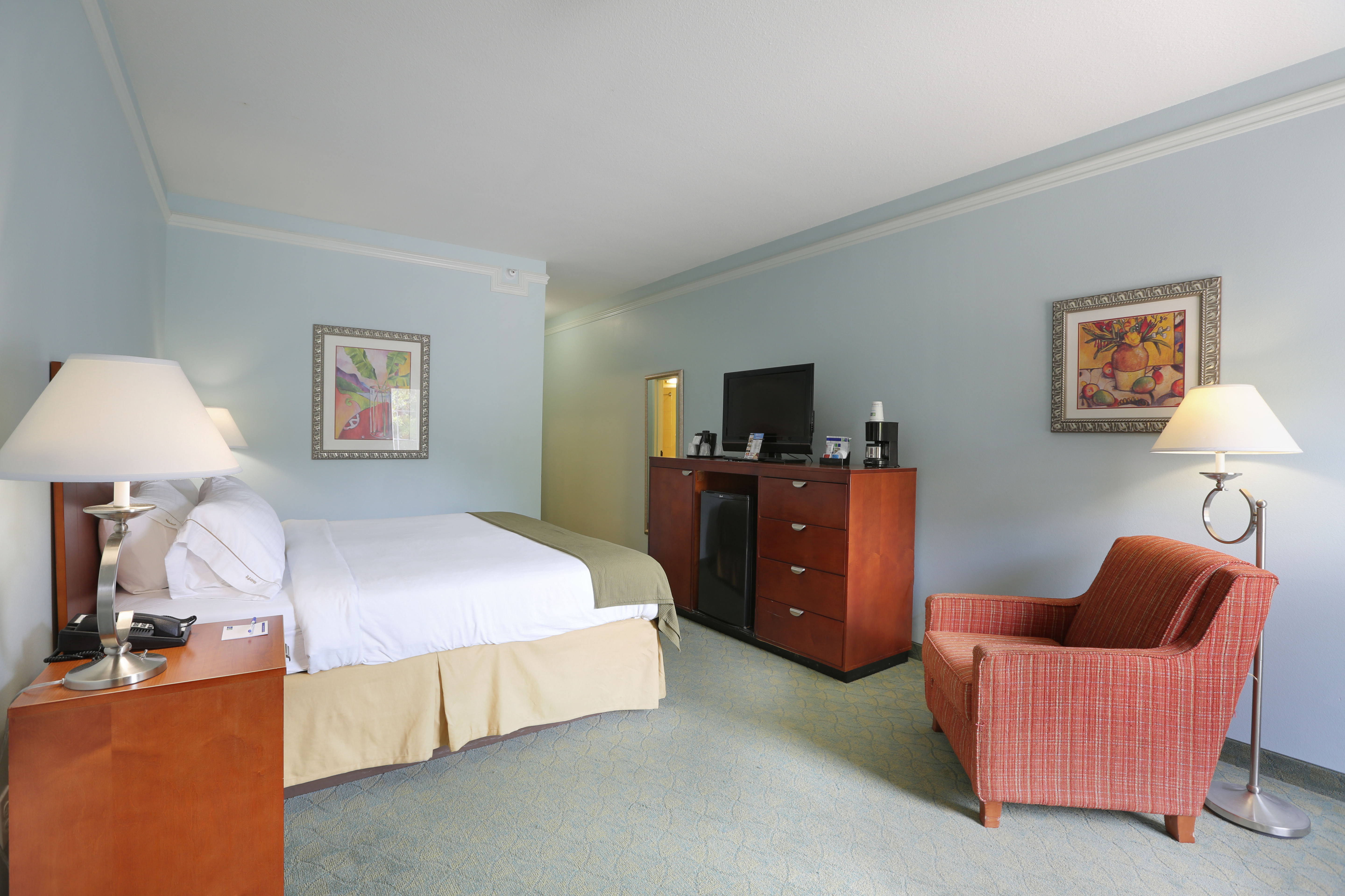 holiday inn express tampa n i 75 university area