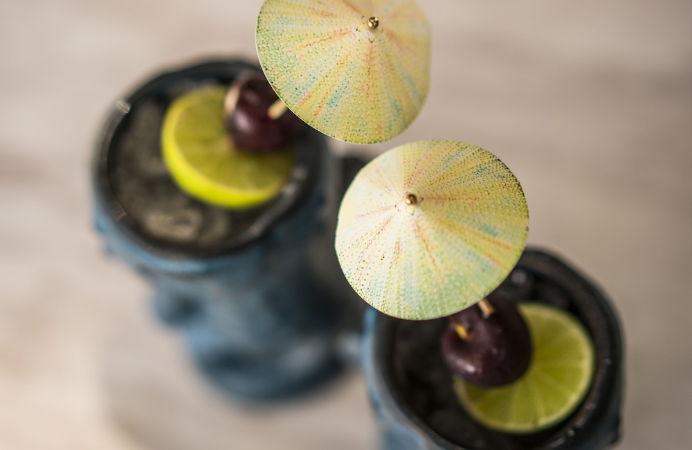 four seasons resort koh samui