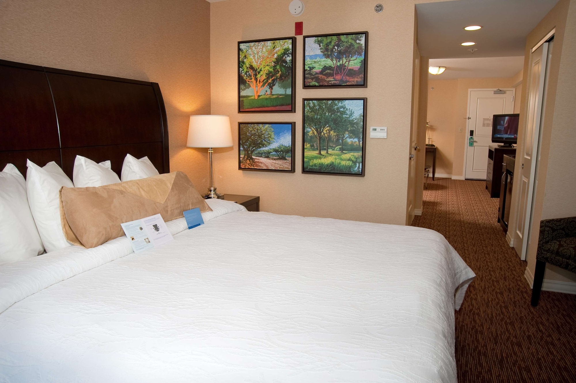 hilton garden inn st louis airport