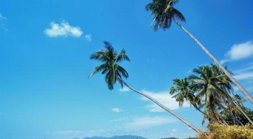 baan suan sook resort