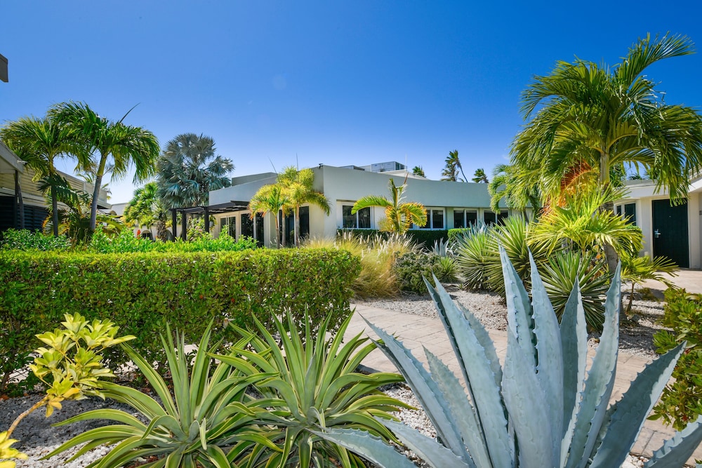 talk of the town hotel and beach club