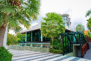 z through by the zign