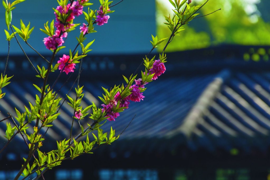 west lake state guest house