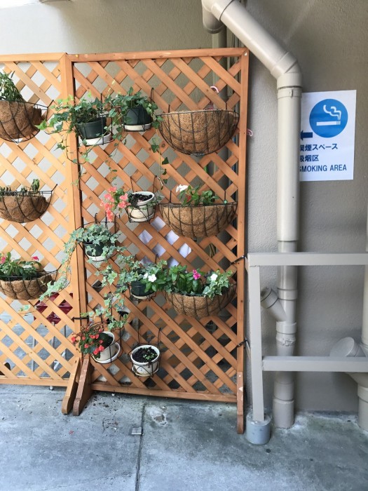 weekly harborview mansion main building