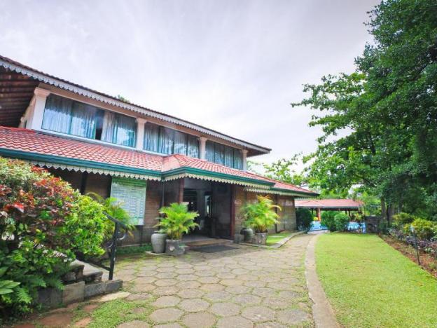 tree of life nature resort