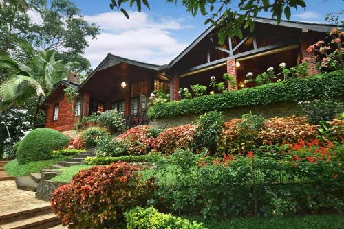 tree of life nature resort