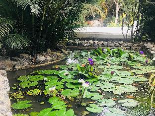 tree of life nature resort