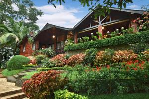 tree of life nature resort