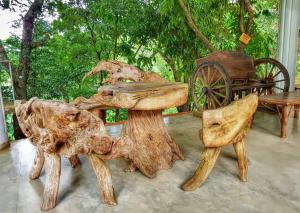 tree of life nature resort