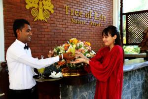 tree of life nature resort