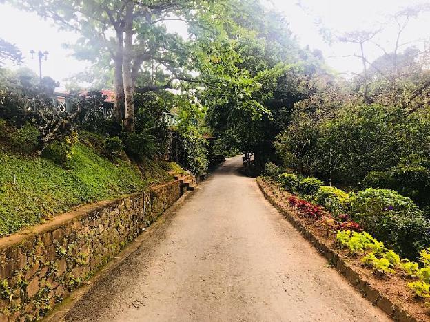 tree of life nature resort