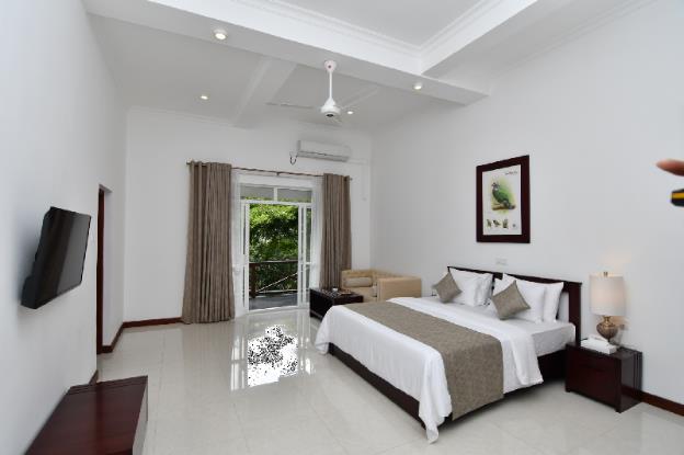 tree of life nature resort