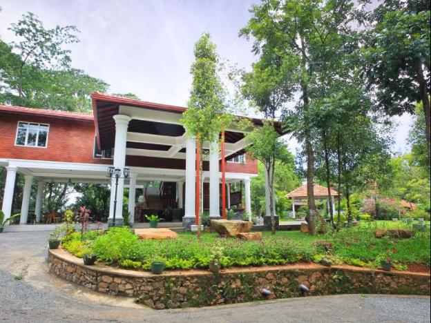 tree of life nature resort